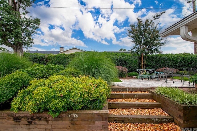 11414 E Stoney Point Ct, Little Rock, AR 72211 - view of yard with a patio