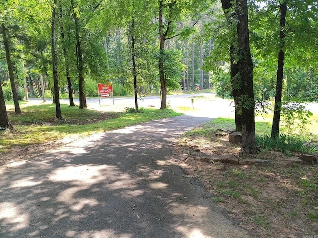 1402 Holmes Rd, Searcy, AR 72143 - view of road