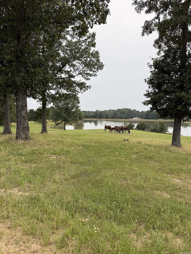 975 Sundance Rd, Piggott, AR 72454