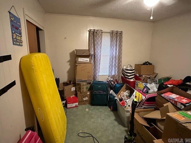 123 Quilters Ln, Hot Springs, AR 71909 - view of storage area