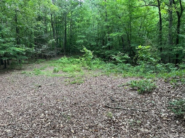123 Quilters Ln, Hot Springs, AR 71909 - view of wooded area