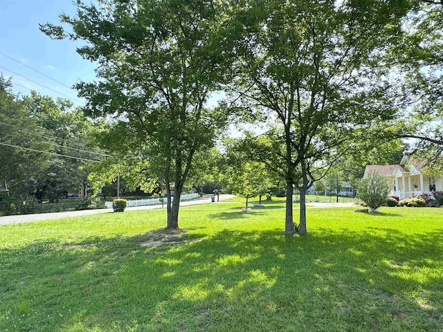 view of grassy yard