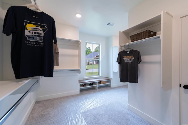 14408 Stonebrook Ln, Maumelle, AR 72113 - spacious closet featuring carpet floors