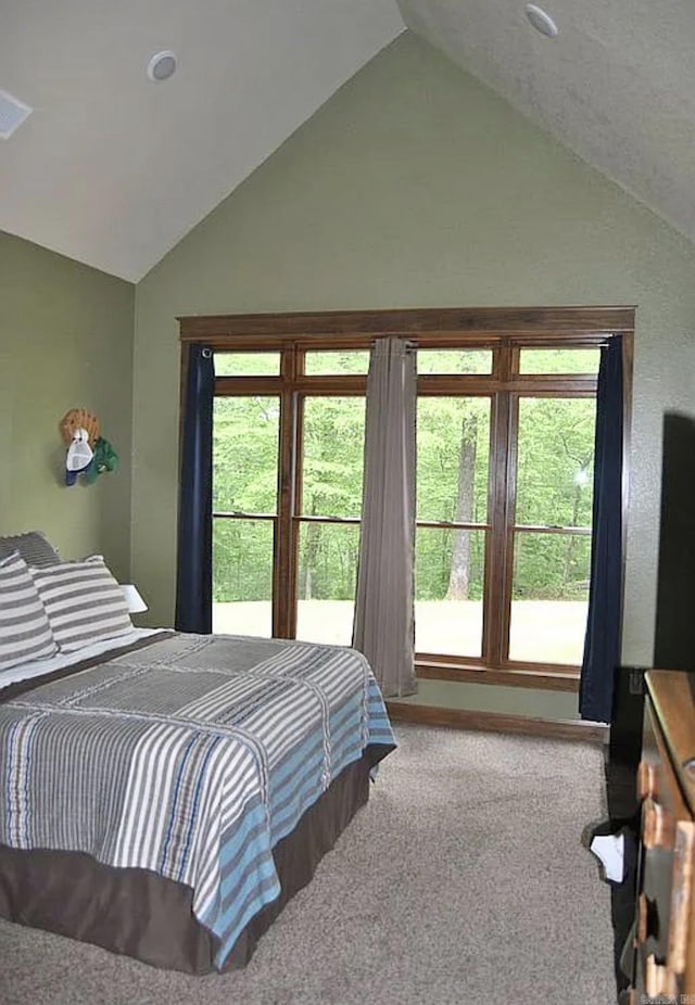 847 Woodland Hills Dr, Mountain View, AR 72560 - bedroom with lofted ceiling and carpet floors