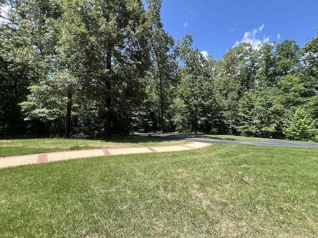 847 Woodland Hills Dr, Mountain View, AR 72560 - view of grassy yard