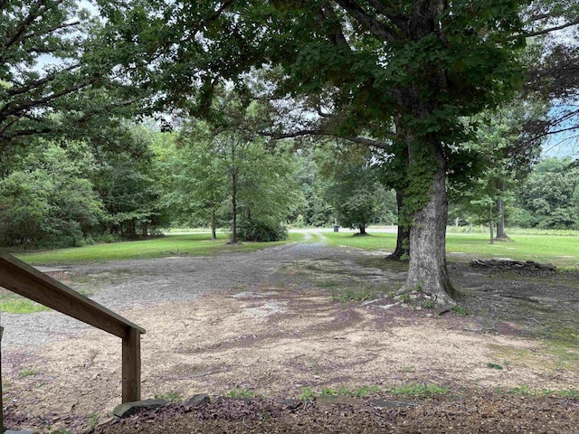 view of grassy yard