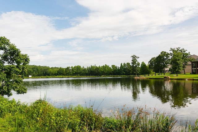 706 Greystone Blvd, Cabot, AR 72023 - water view