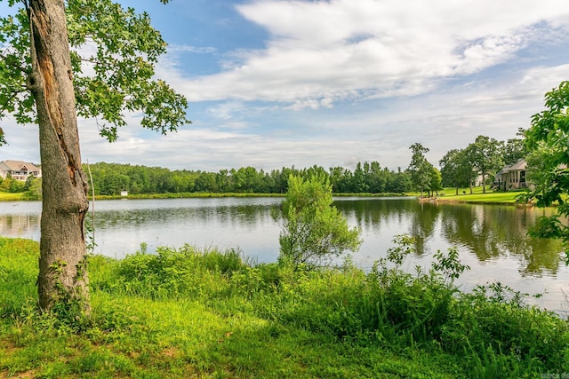 706 Greystone Blvd, Cabot, AR 72023 - water view
