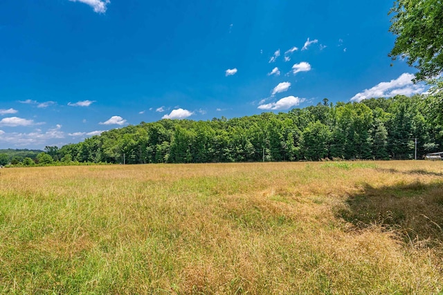 175 Appaloosa Trl, Hot Springs, AR 71909 - view of woods with a view of countryside