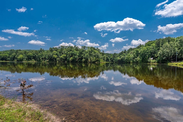175 Appaloosa Trl, Hot Springs, AR 71909 - water view featuring a heavily wooded area