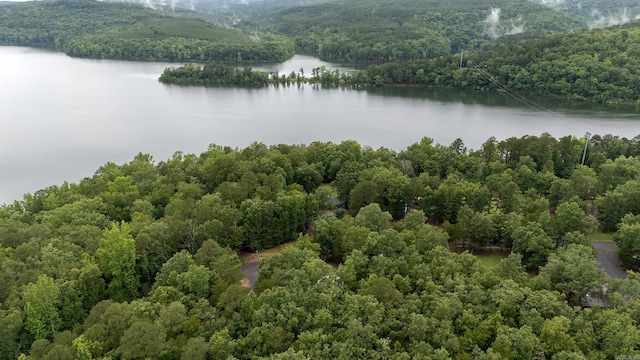 164 Roxie Ln, Greers Ferry, AR 72067 - drone / aerial view of a forest and a large body of water