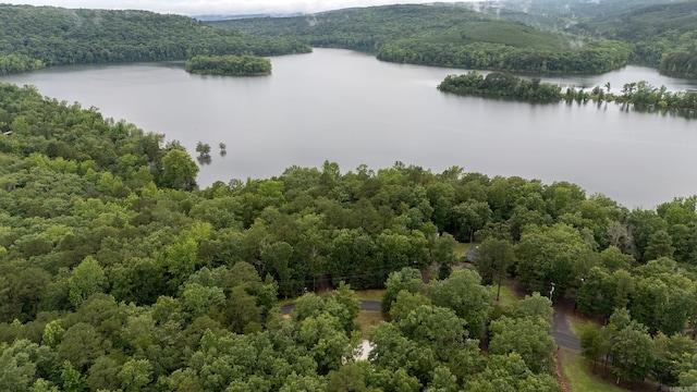 164 Roxie Ln, Greers Ferry, AR 72067 - bird's eye view of a forest and a nearby body of water