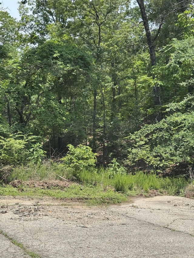 LOTS7 Oak Glen Dr, Mountain Home, AR 72653