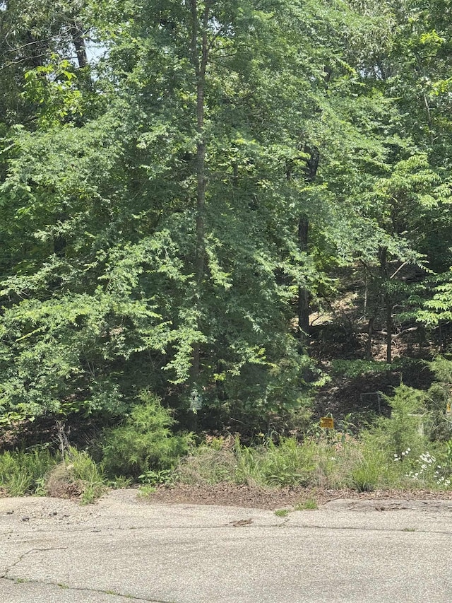 LOTS7 Oak Glen Dr, Mountain Home, AR 72653
