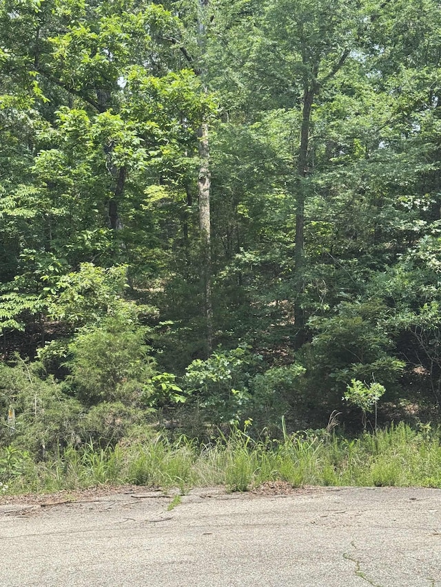 LOTS7 Oak Glen Dr, Mountain Home, AR 72653