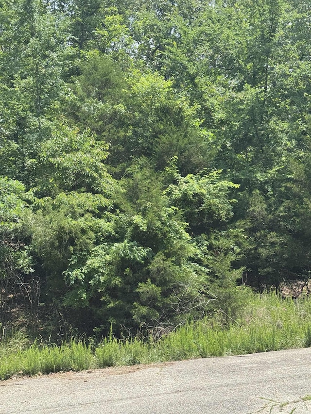 LOTS7 Oak Glen Dr, Mountain Home, AR 72653