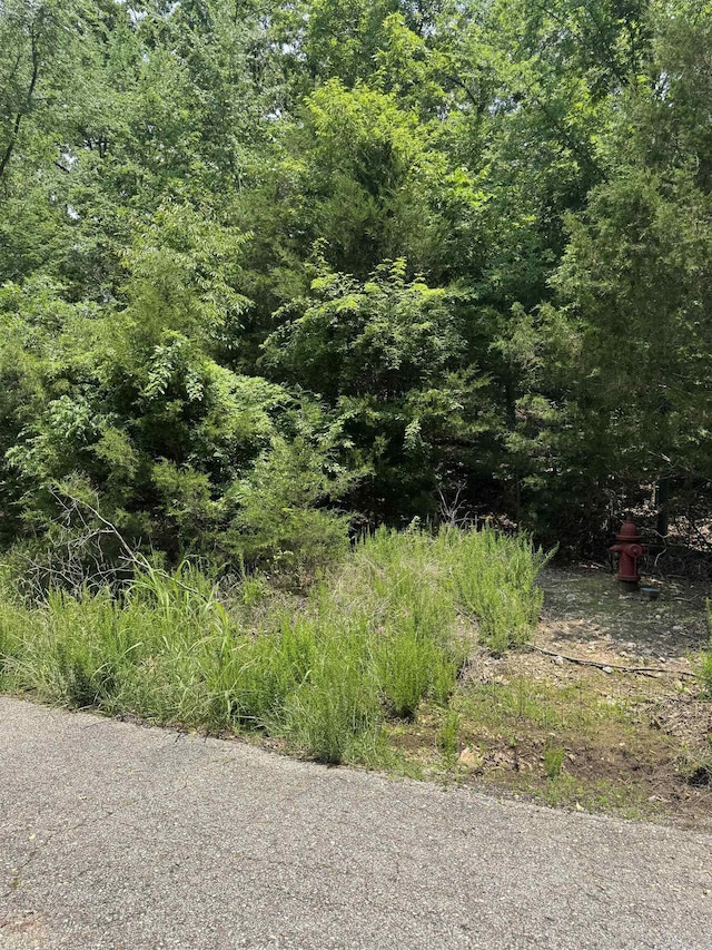 LOTS7 Oak Glen Dr, Mountain Home, AR 72653