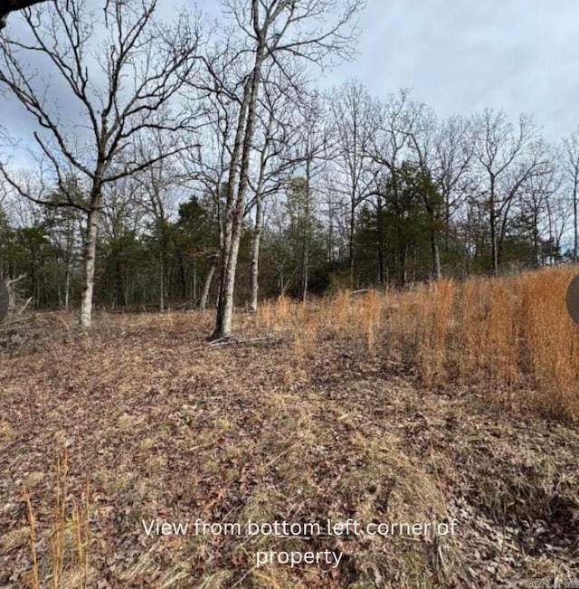 001-05438-011 Old Tracy Rd, Mountain Home, AR 72653
