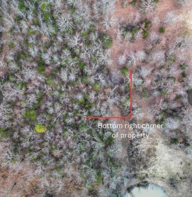 001-05438-011 Old Tracy Rd, Mountain Home, AR 72653