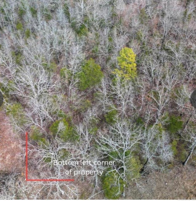 001-05438-011 Old Tracy Rd, Mountain Home, AR 72653