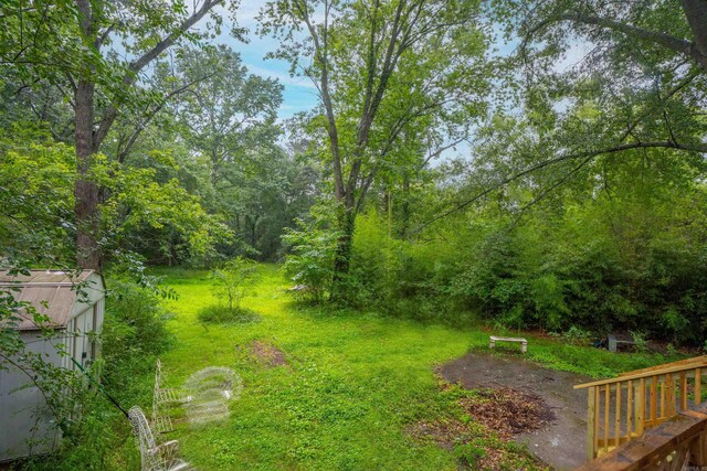 3209 Jack Mann Rd, Little Rock, AR 72210 - view of yard