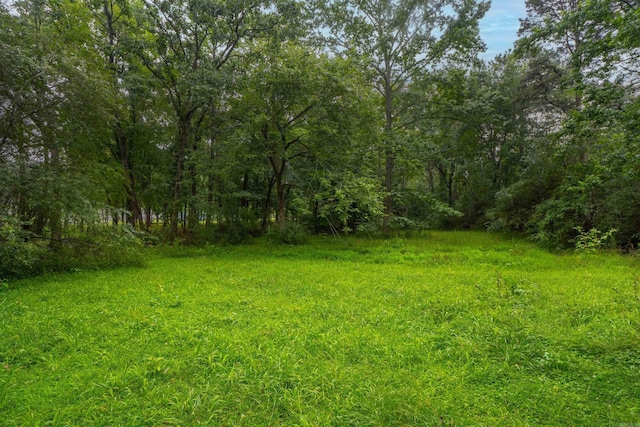 3209 Jack Mann Rd, Little Rock, AR 72210 - view of yard with a wooded view
