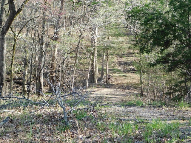 000 Old Military Rd, Mountain Home, AR 72653
