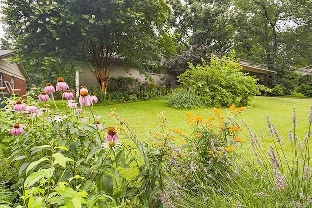 42 Bradford, Little Rock, AR 72227 - view of green lawn