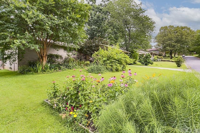 42 Bradford, Little Rock, AR 72227 - view of grassy yard