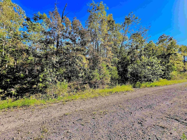 000 Canmore Dr, Mountain Home, AR 72653
