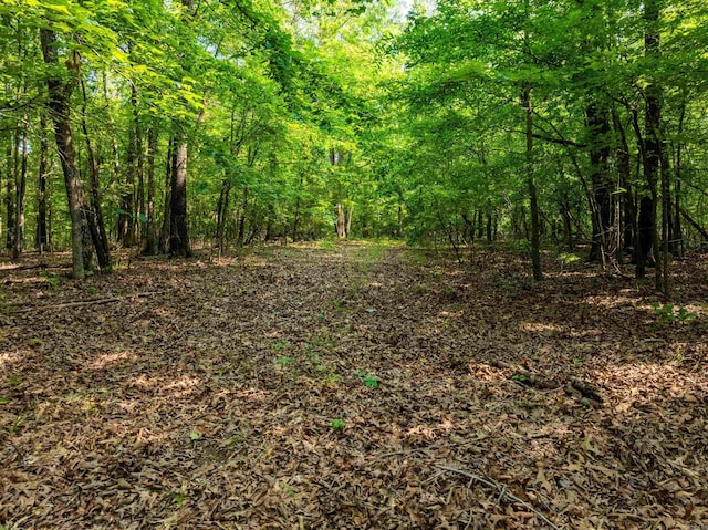 000 Cave Creek Rd, Batesville, AR 72501