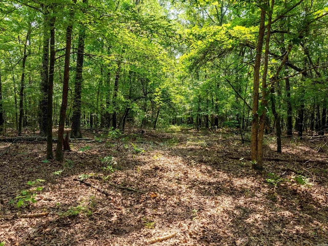 000 Cave Creek Rd, Batesville, AR 72501