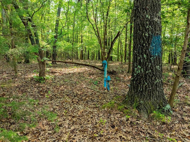 000 Cave Creek Rd, Batesville, AR 72501