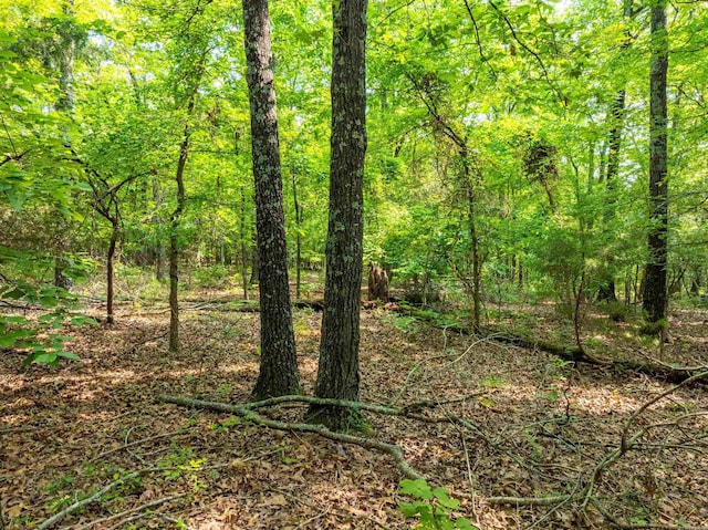 000 Cave Creek Rd, Batesville, AR 72501