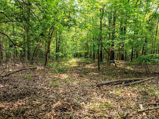 000 Cave Creek Rd, Batesville, AR 72501