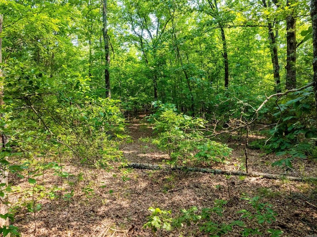000 Cave Creek Rd, Batesville, AR 72501