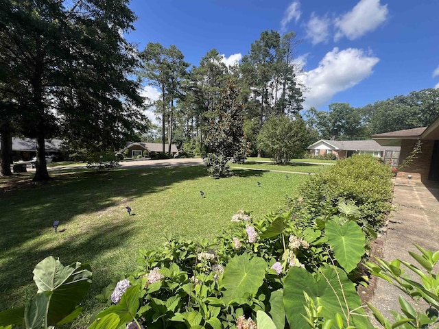 114 Mark Cir, Monticello, AR 71655 - view of green lawn