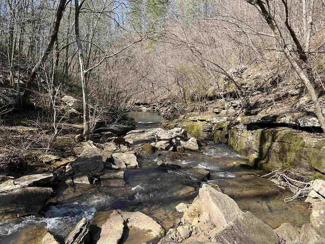 394 Otis Rd, Clinton, AR 72031 - view of local wilderness