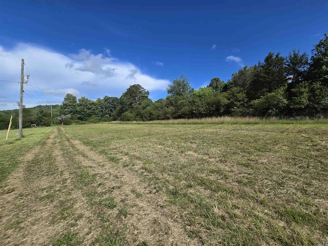 394 Otis Rd, Clinton, AR 72031 - view of green lawn