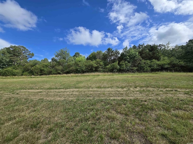 394 Otis Rd, Clinton, AR 72031 - view of green lawn with a view of trees