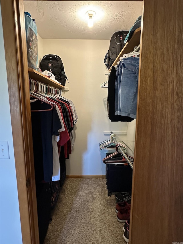 504 Case St, Heber Springs, AR 72543 - walk in closet with carpet