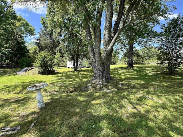 504 Case St, Heber Springs, AR 72543 - view of grassy yard