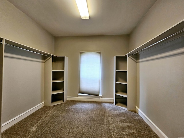 158 Calais, Maumelle, AR 72113 - walk in closet featuring carpet