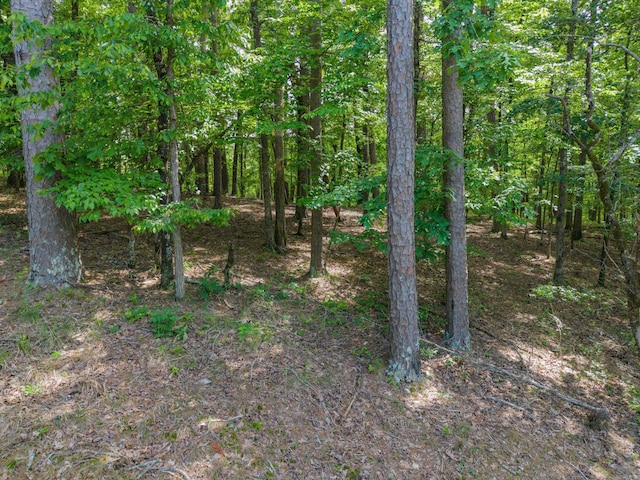 TBD Independence, Hot Springs, AR 71913
