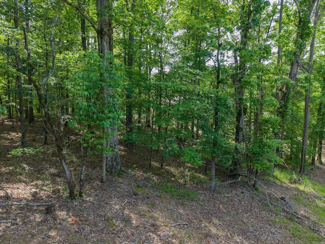 TBD Independence, Hot Springs, AR 71913