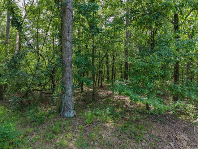 TBD Independence, Hot Springs, AR 71913