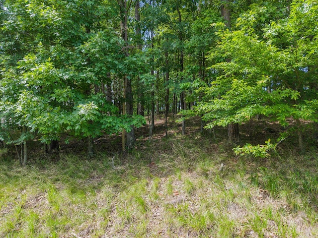 TBD Independence, Hot Springs, AR 71913