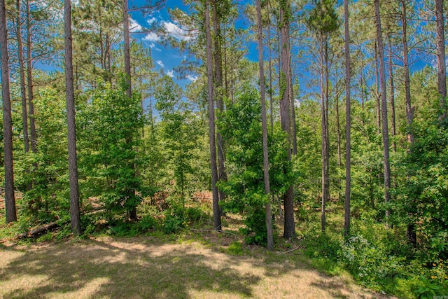 18508 Parkway Pines Dr, Bauxite, AR 72011 - view of wooded area