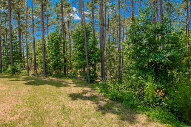 18508 Parkway Pines Dr, Bauxite, AR 72011 - view of woods