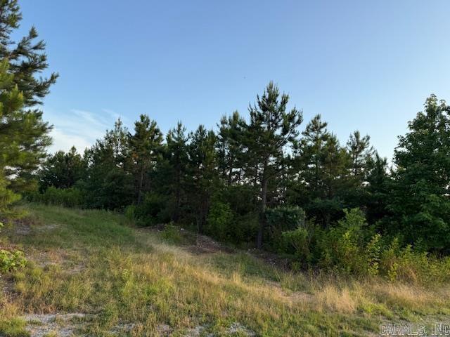 140 Ground Hog Ln, Hot Springs, AR 71901